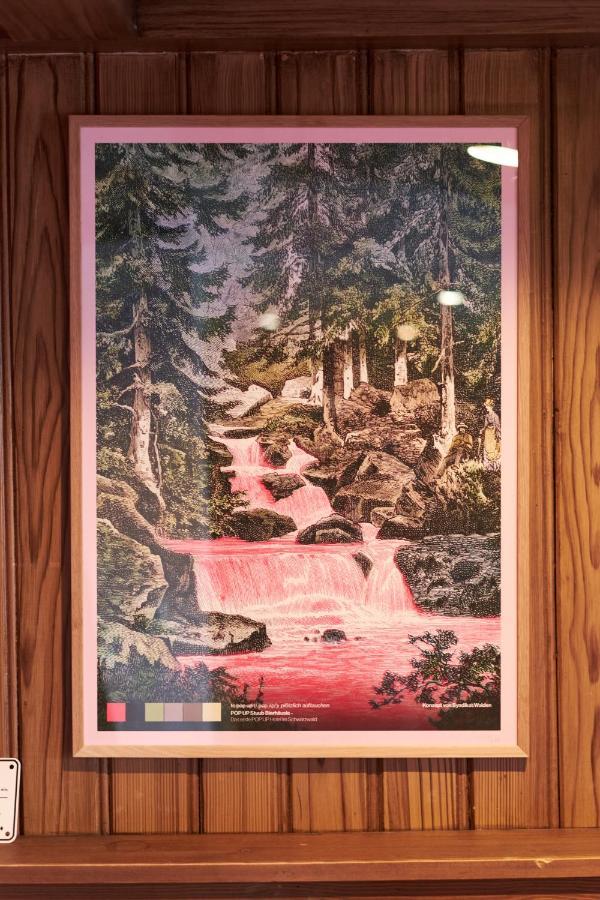 Pop-Up Stuub Feldberg Otel Feldberg  Dış mekan fotoğraf