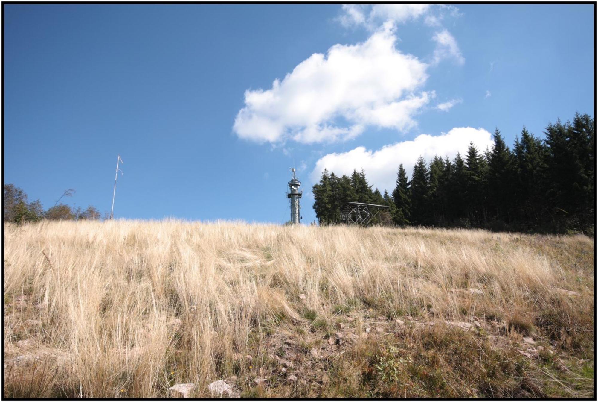 Pop-Up Stuub Feldberg Otel Feldberg  Dış mekan fotoğraf