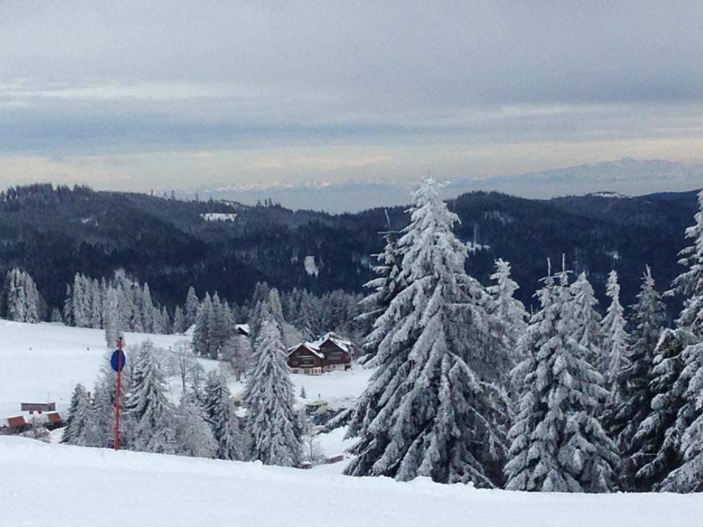 Pop-Up Stuub Feldberg Otel Feldberg  Dış mekan fotoğraf
