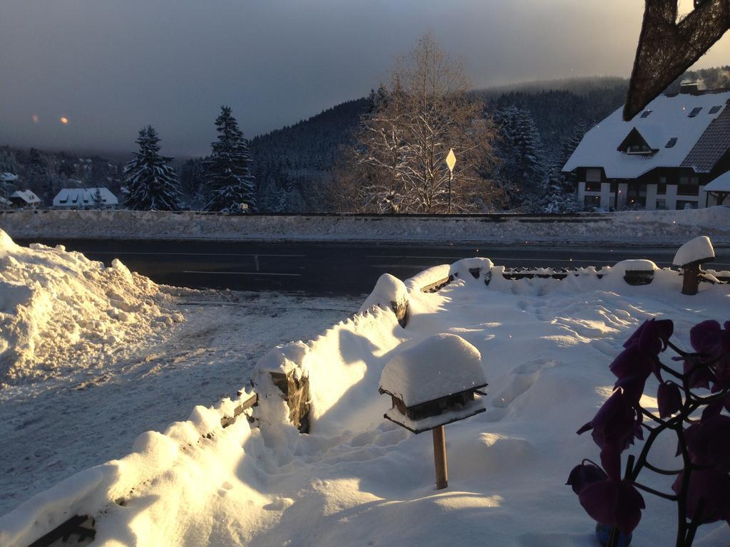 Pop-Up Stuub Feldberg Otel Feldberg  Dış mekan fotoğraf